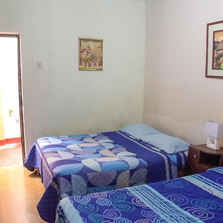 نازكا Brabant Hostal المظهر الخارجي الصورة