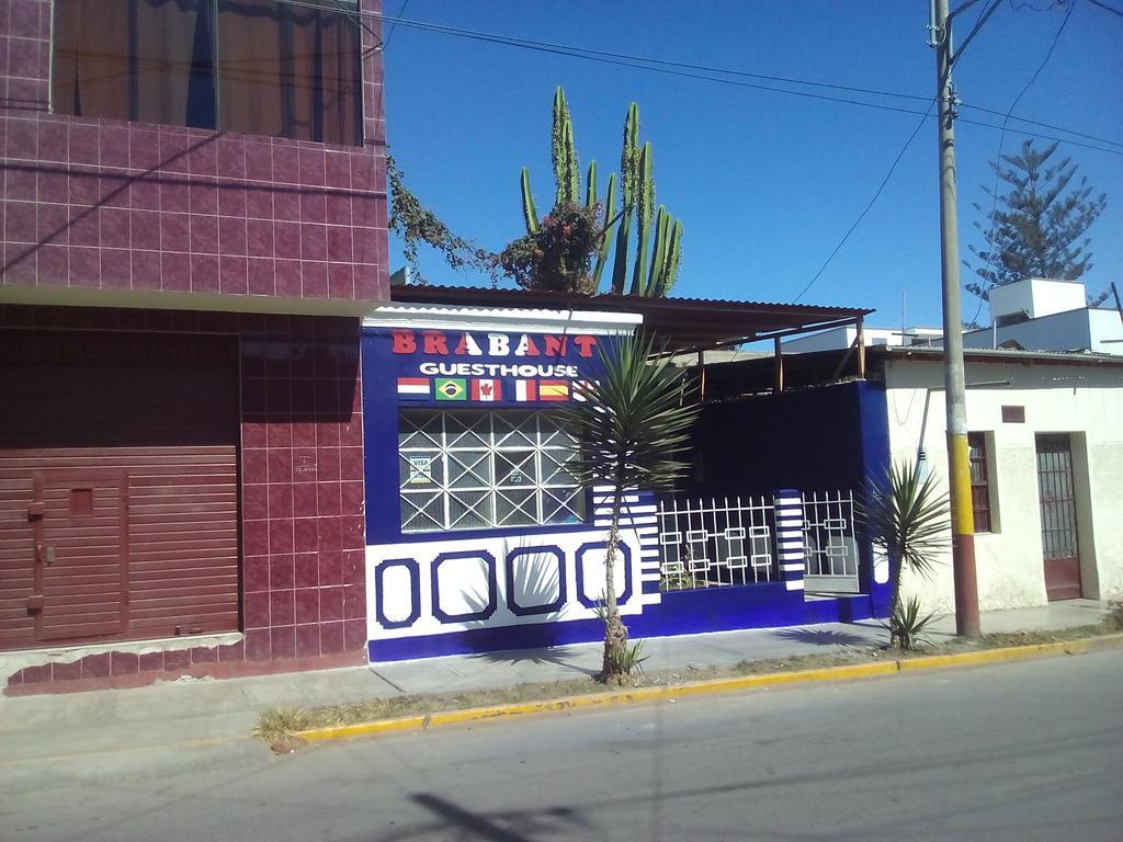 نازكا Brabant Hostal المظهر الخارجي الصورة